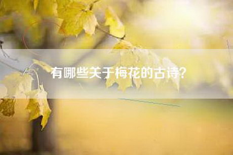 有哪些关于梅花的古诗？