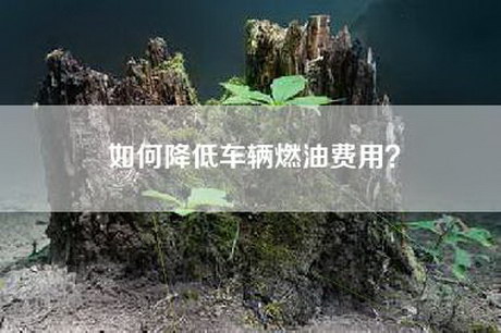 如何降低车辆燃油费用？