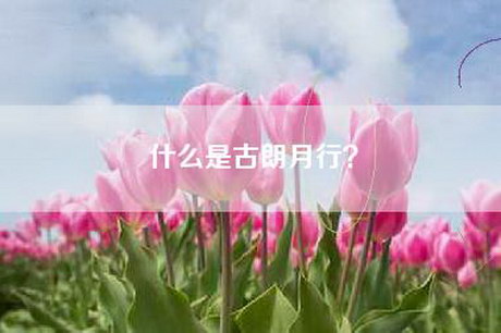 什么是古朗月行？