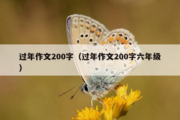 过年作文200字（过年作文200字六年级）