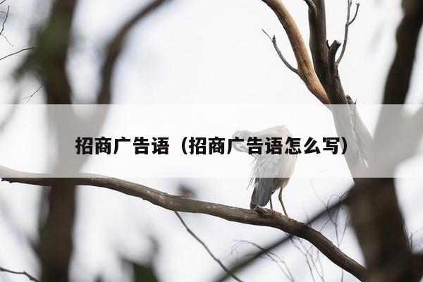 招商广告语（招商广告语怎么写）