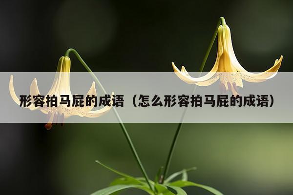 形容拍马屁的成语（怎么形容拍马屁的成语）