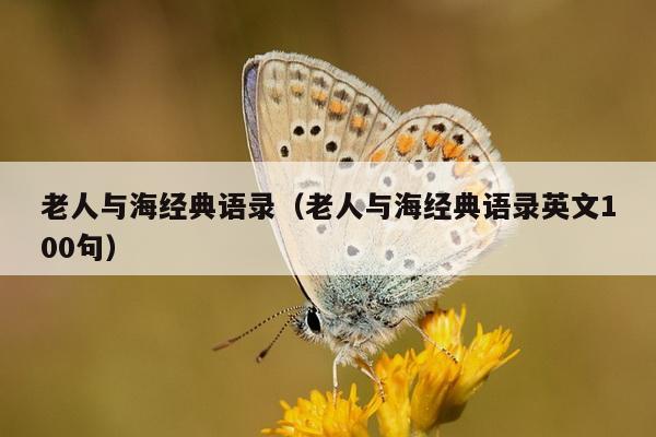 老人与海经典语录（老人与海经典语录英文100句）