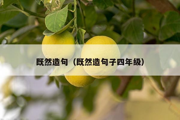 既然造句（既然造句子四年级）