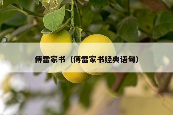 傅雷家书（傅雷家书经典语句）