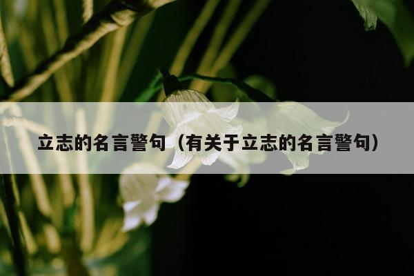 立志的名言警句（有关于立志的名言警句）