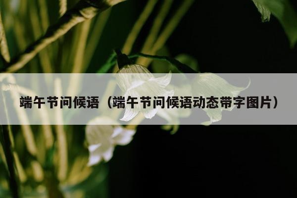 端午节问候语（端午节问候语动态带字图片）