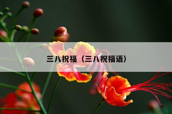 三八祝福（三八祝福语）