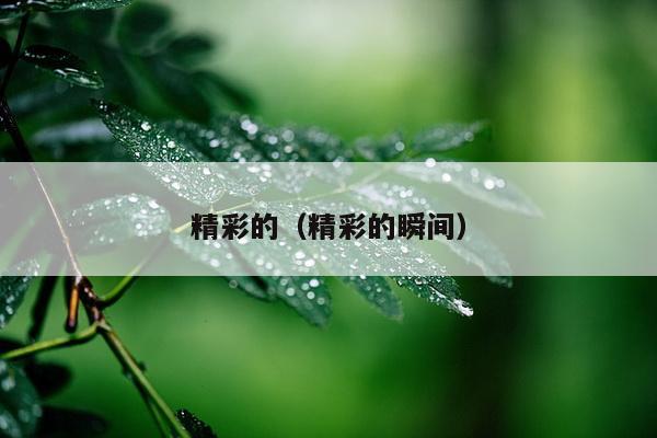 精彩的（精彩的瞬间）