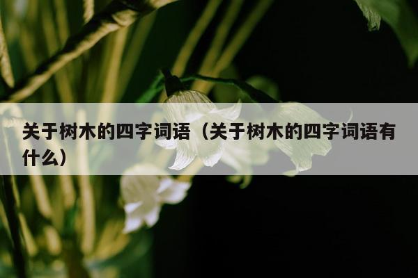 关于树木的四字词语（关于树木的四字词语有什么）