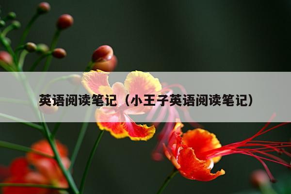 英语阅读笔记（小王子英语阅读笔记）