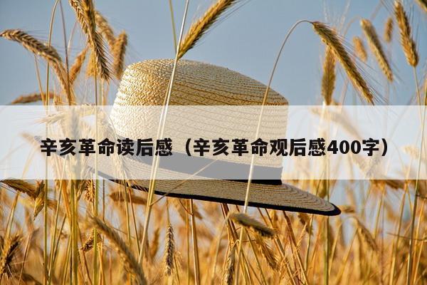 辛亥革命读后感（辛亥革命观后感400字）