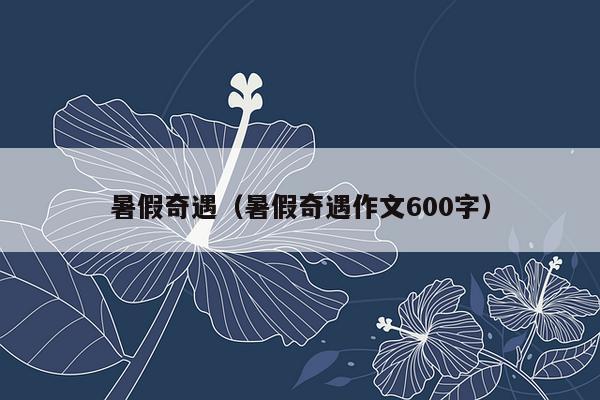 暑假奇遇（暑假奇遇作文600字）