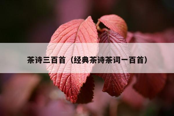 茶诗三百首（经典茶诗茶词一百首）