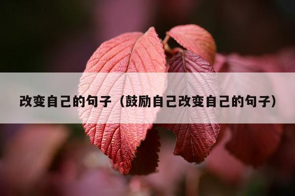 改变自己的句子（鼓励自己改变自己的句子）