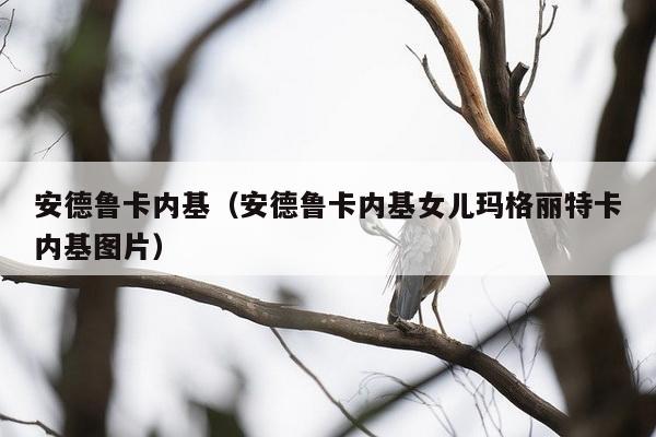 安德鲁卡内基（安德鲁卡内基女儿玛格丽特卡内基图片）