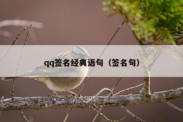 qq签名经典语句（签名句）