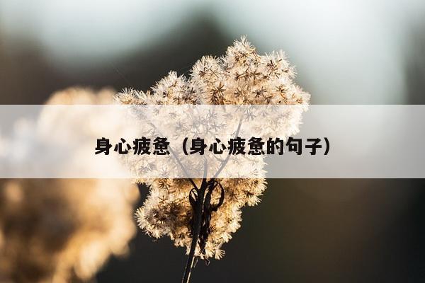 身心疲惫（身心疲惫的句子）