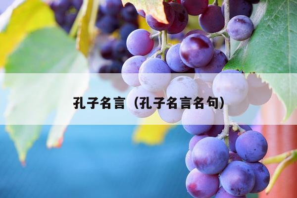 孔子名言（孔子名言名句）