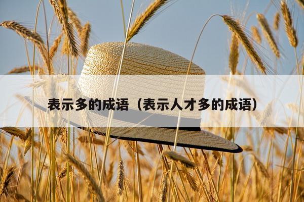 表示多的成语（表示人才多的成语）