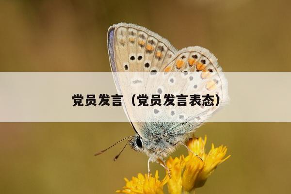 党员发言（党员发言表态）