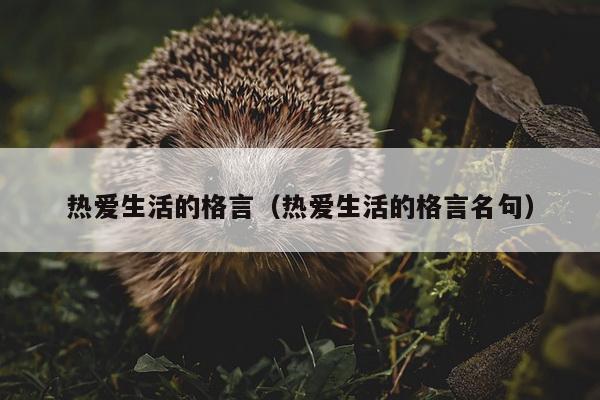 热爱生活的格言（热爱生活的格言名句）