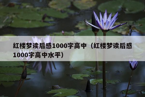 红楼梦读后感1000字高中（红楼梦读后感1000字高中水平）