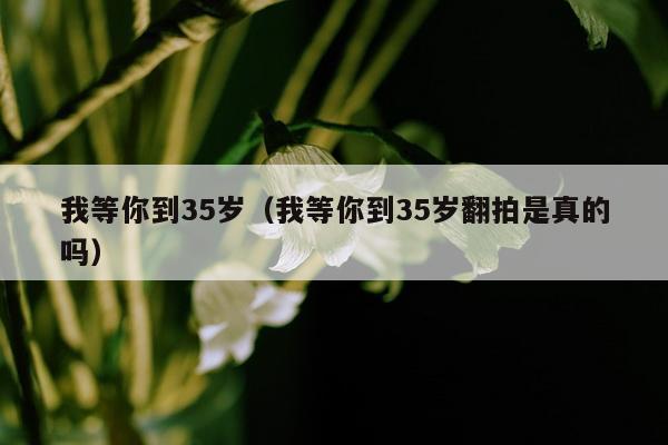 我等你到35岁（我等你到35岁翻拍是真的吗）