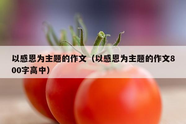 以感恩为主题的作文（以感恩为主题的作文800字高中）