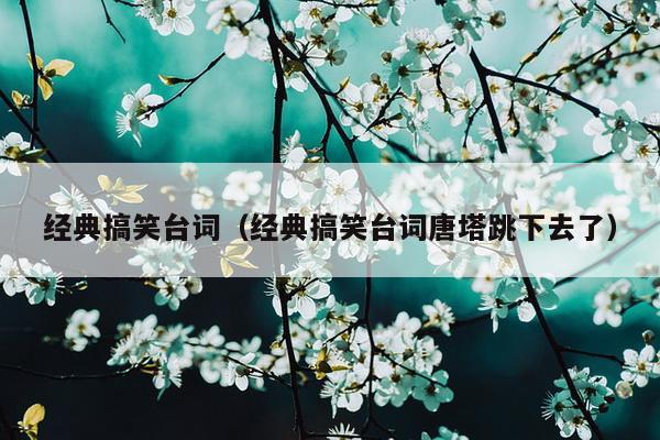 经典搞笑台词（经典搞笑台词唐塔跳下去了）