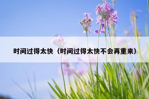 时间过得太快（时间过得太快不会再重来）