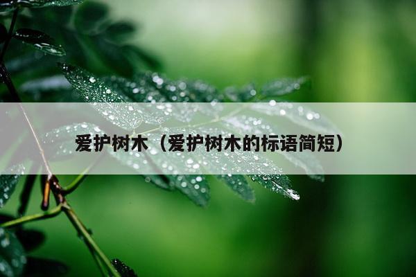 爱护树木（爱护树木的标语简短）