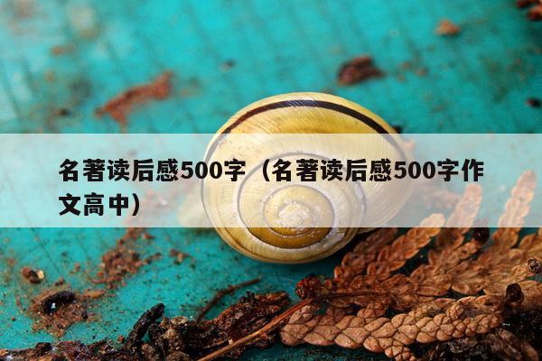 名著读后感500字（名著读后感500字作文高中）