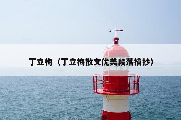 丁立梅（丁立梅散文优美段落摘抄）