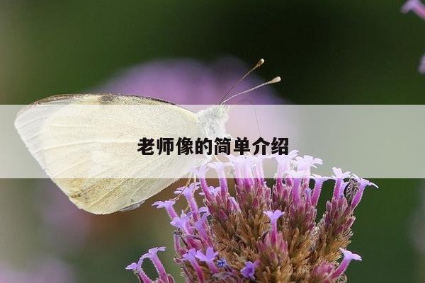 老师像的简单介绍