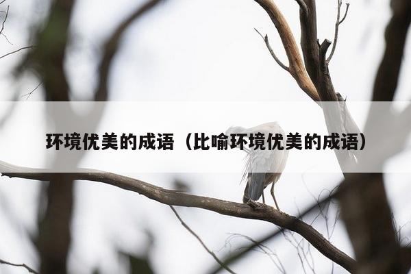 环境优美的成语（比喻环境优美的成语）