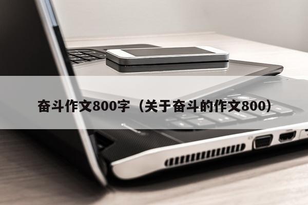 奋斗作文800字（关于奋斗的作文800）