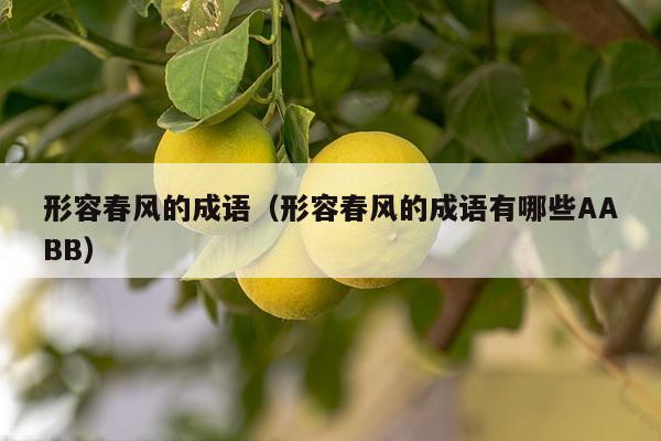 形容春风的成语（形容春风的成语有哪些AABB）