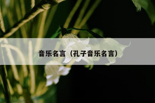 音乐名言（孔子音乐名言）