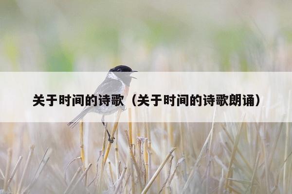 关于时间的诗歌（关于时间的诗歌朗诵）