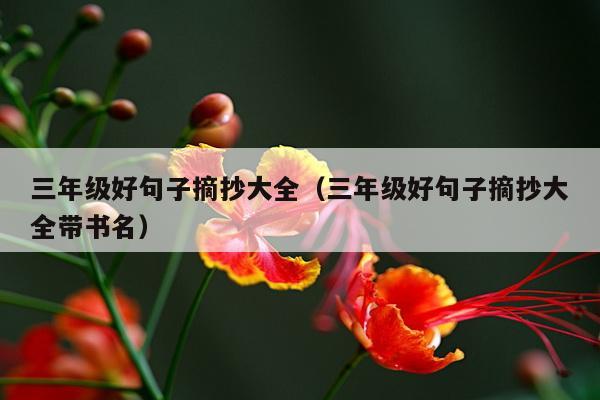 三年级好句子摘抄大全（三年级好句子摘抄大全带书名）