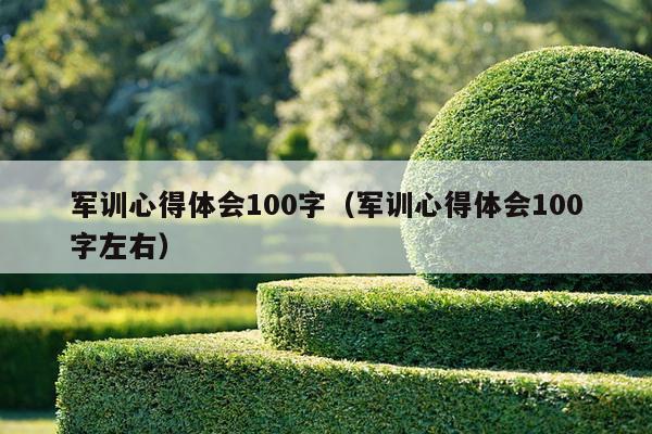 军训心得体会100字（军训心得体会100字左右）