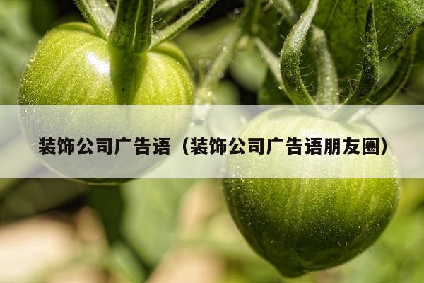 装饰公司广告语（装饰公司广告语朋友圈）