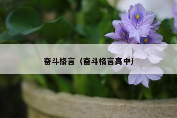 奋斗格言（奋斗格言高中）