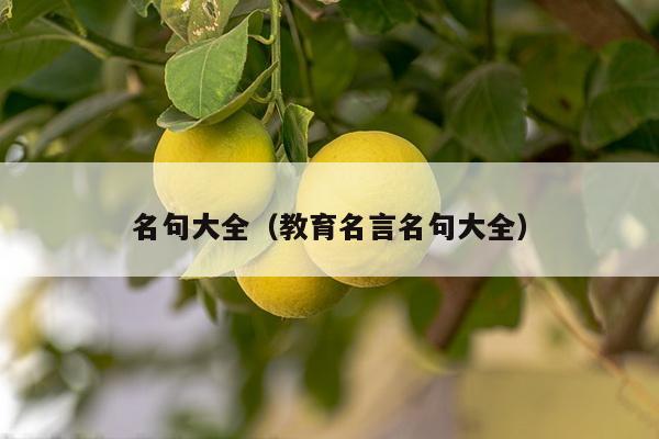 名句大全（教育名言名句大全）