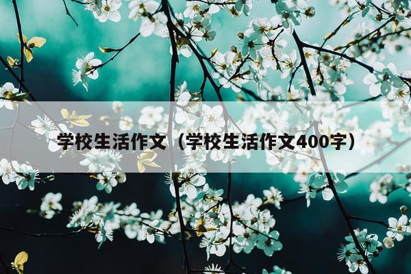 学校生活作文（学校生活作文400字）