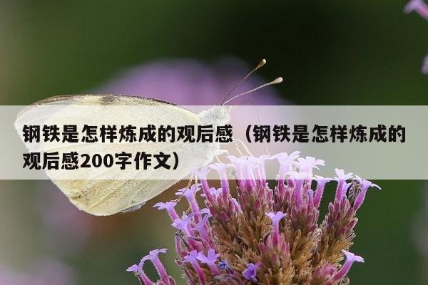 钢铁是怎样炼成的观后感（钢铁是怎样炼成的观后感200字作文）