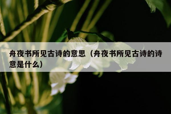 舟夜书所见古诗的意思（舟夜书所见古诗的诗意是什么）