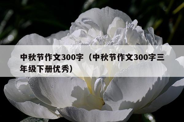 中秋节作文300字（中秋节作文300字三年级下册优秀）