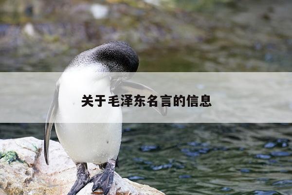 关于毛泽东名言的信息